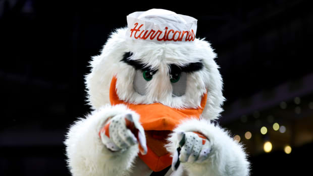 Miami Mascot